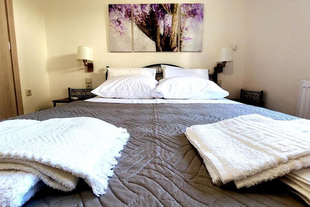 חאניה Cozy Suite By Spiros & Marina מראה חיצוני תמונה